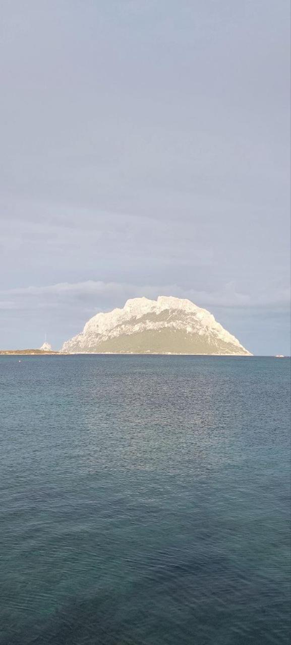 Porto San Paolo A 50 Mt Dal Mare Villa Phòng bức ảnh