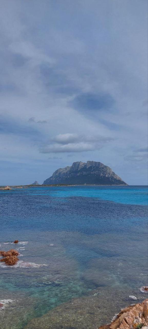 Porto San Paolo A 50 Mt Dal Mare Villa Phòng bức ảnh
