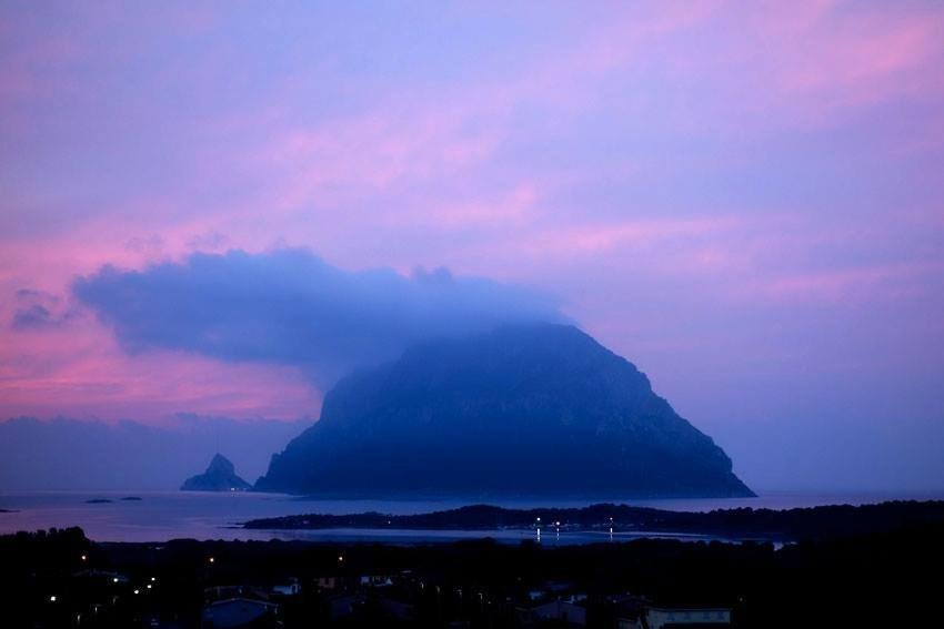 Porto San Paolo A 50 Mt Dal Mare Villa Phòng bức ảnh