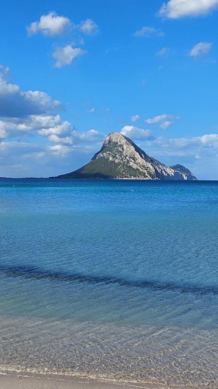 Porto San Paolo A 50 Mt Dal Mare Villa Phòng bức ảnh